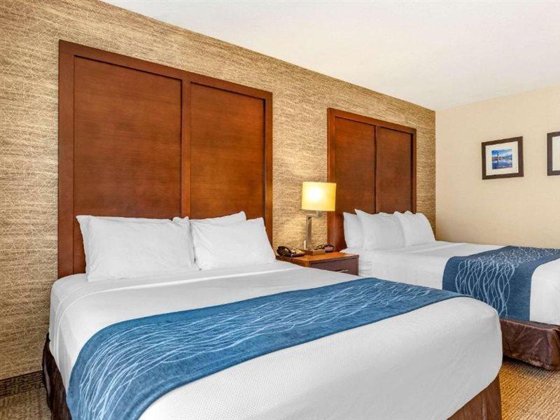 Comfort Inn Ludington Near Us-10 Luaran gambar
